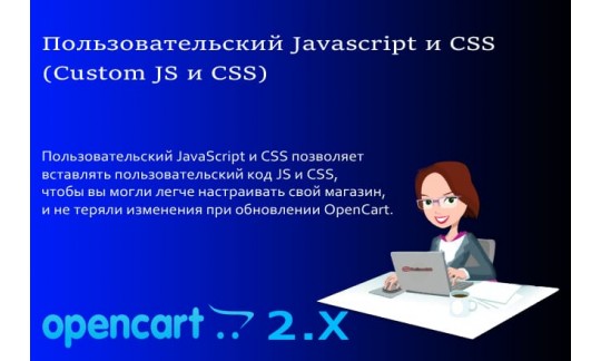 Пользовательский Javascript и CSS (Custom JS и CSS) Opencart 2. x - OcStore 2. x