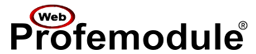 Web.ProFeModule